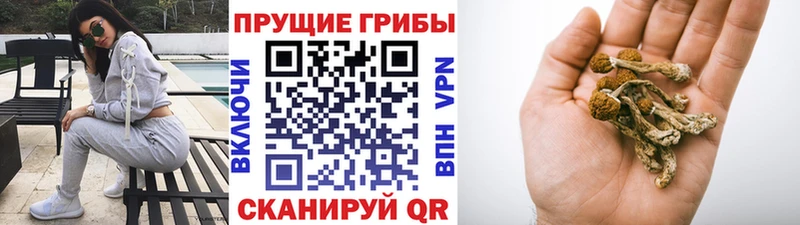 ссылка на мегу как зайти Брюховецкая Псилоцибиновые грибы мухоморы где купить наркоту